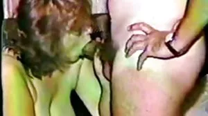ஜேன் வைல்டின் கழுதையை அடக்க முடியாது