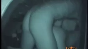 வயலட்ஸ் முதல் குத