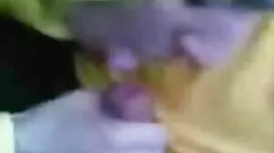 ஜேன் வித் வைல்ட்