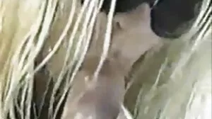 என் மிட்டாய் கேனை நக்கு
