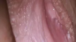 சமையலறை உதவியாளர்