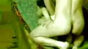 லூனாவைப் பாருங்கள்